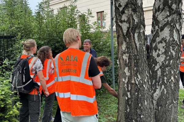 Standard Setting for Urban Forestry Maintenance